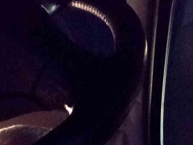 CuddleBear CuddleBear