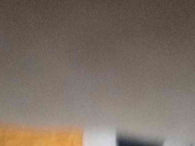 CuddleBear CuddleBear