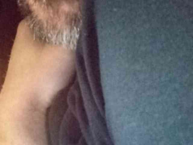 CuddleBear CuddleBear