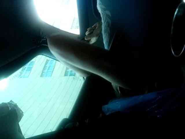 CuddleBear CuddleBear