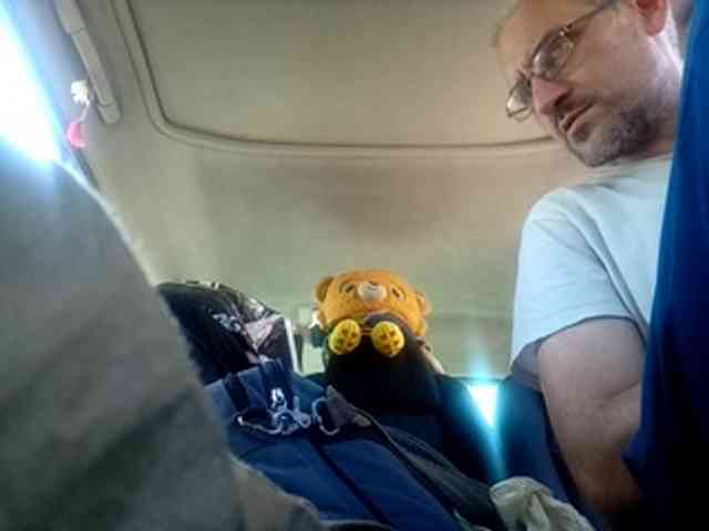 CuddleBear CuddleBear