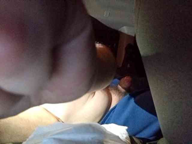 CuddleBear CuddleBear