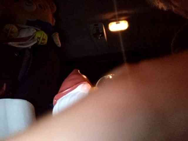 CuddleBear CuddleBear