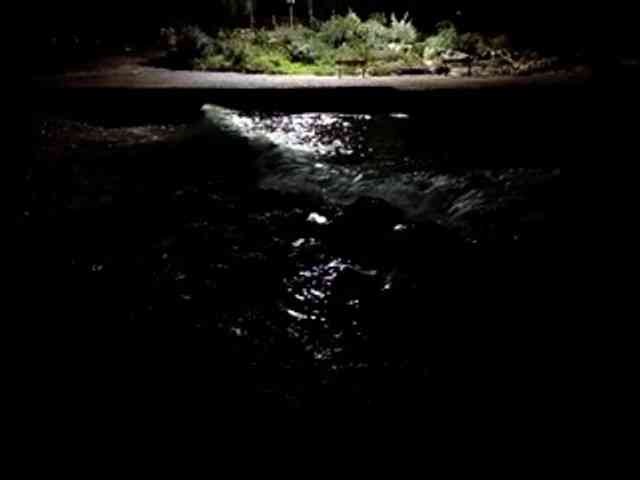 CuddleBear CuddleBear