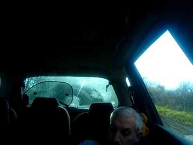 CuddleBear Live Webcam on BongaCams