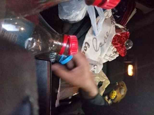 CuddleBear CuddleBear