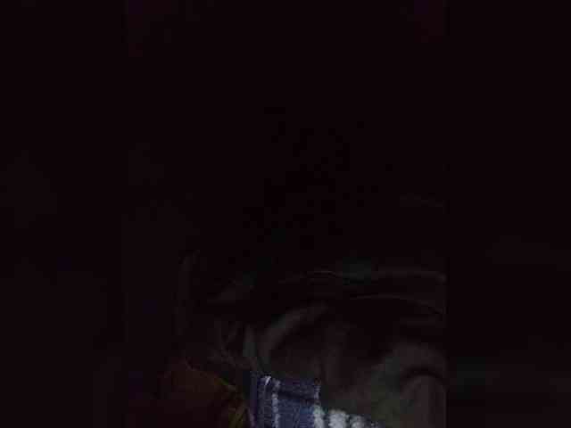 CuddleBear CuddleBear