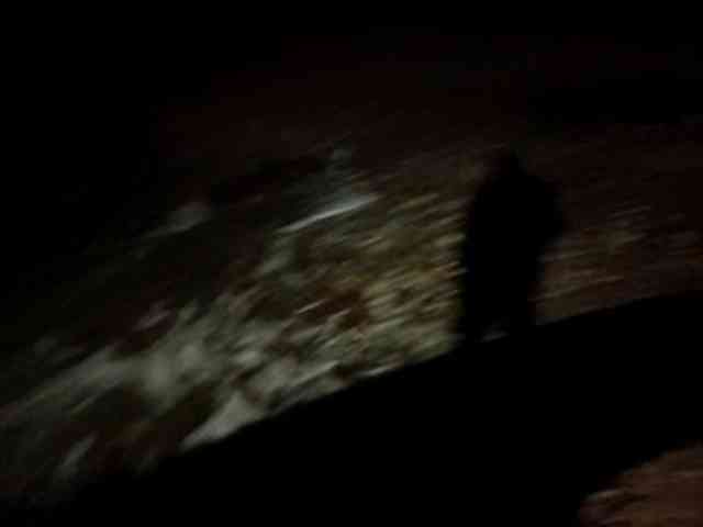 CuddleBear CuddleBear