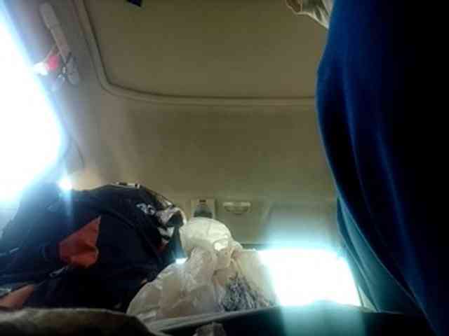 CuddleBear Live Webcam on BongaCams