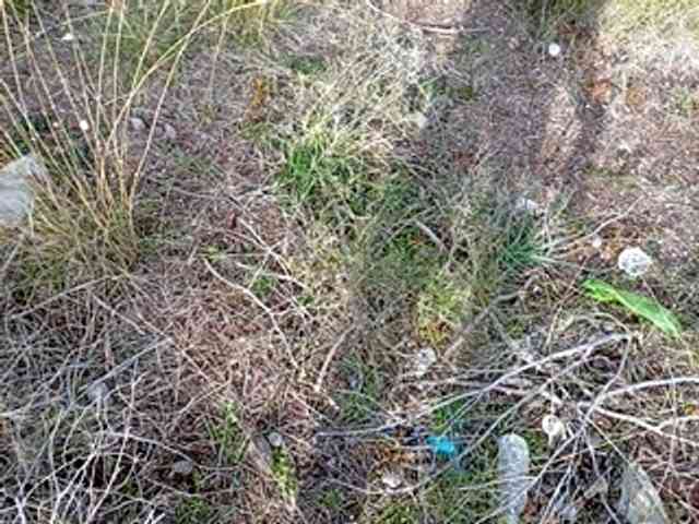 CuddleBear CuddleBear