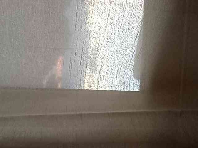 CuddleBear CuddleBear