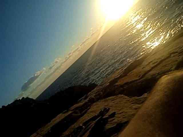 CuddleBear CuddleBear