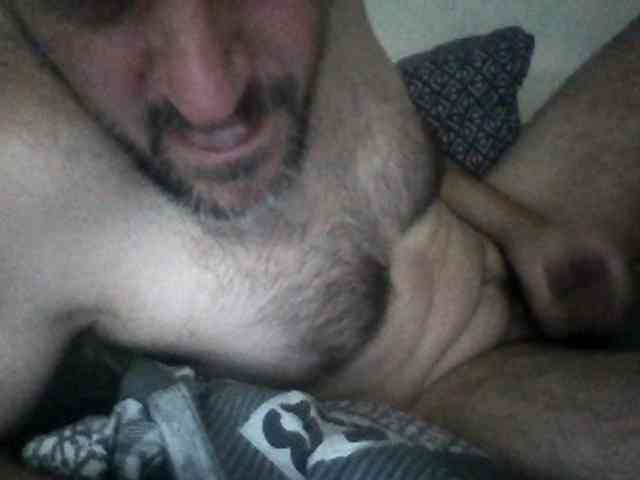 CuddleBear CuddleBear