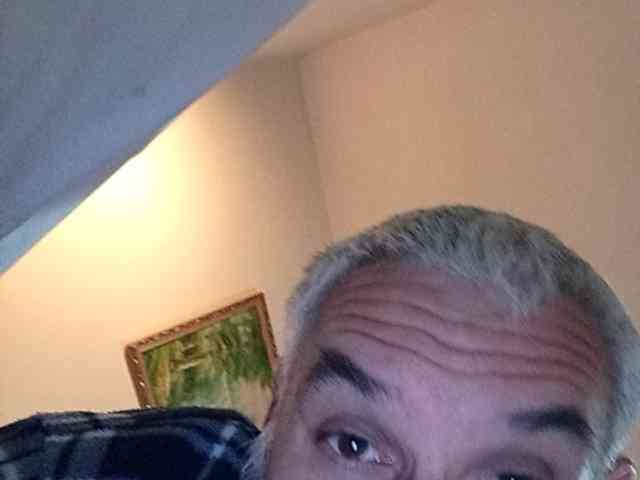 CuddleBear CuddleBear