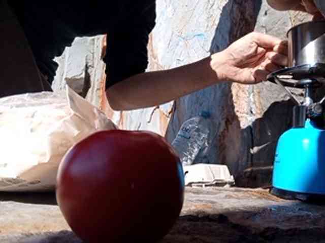 CuddleBear CuddleBear