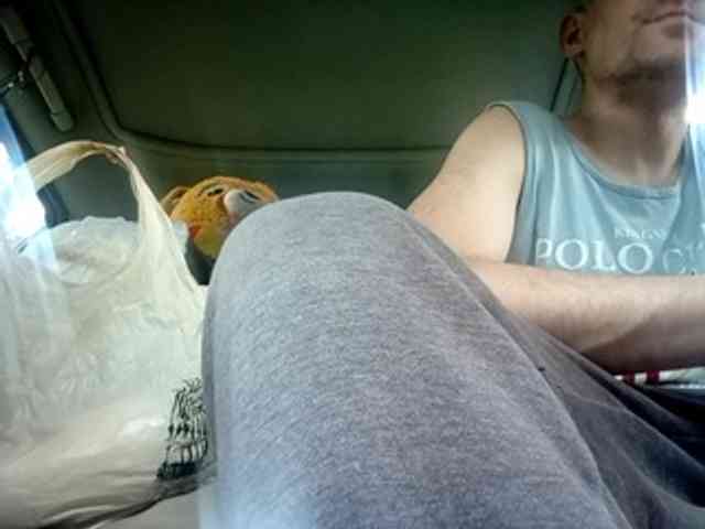 CuddleBear CuddleBear