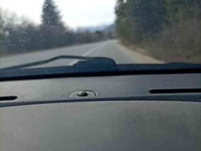 CuddleBear CuddleBear