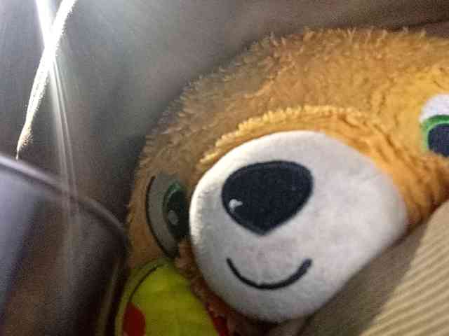 CuddleBear CuddleBear