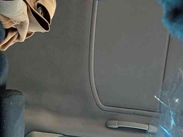 CuddleBear CuddleBear