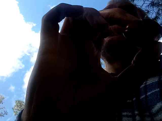 CuddleBear CuddleBear