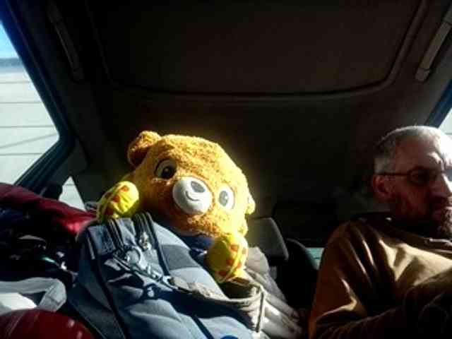 CuddleBear CuddleBear