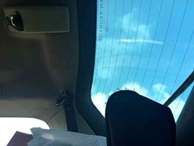 CuddleBear CuddleBear