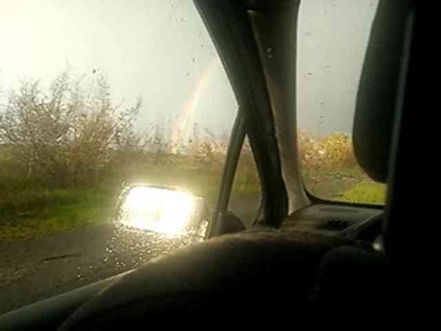 CuddleBear CuddleBear