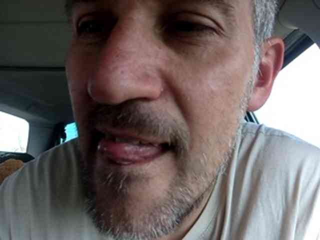 CuddleBear CuddleBear