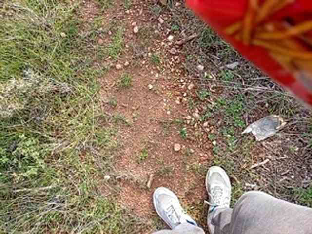 CuddleBear CuddleBear