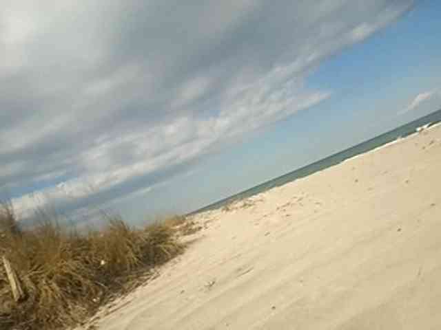 CuddleBear CuddleBear