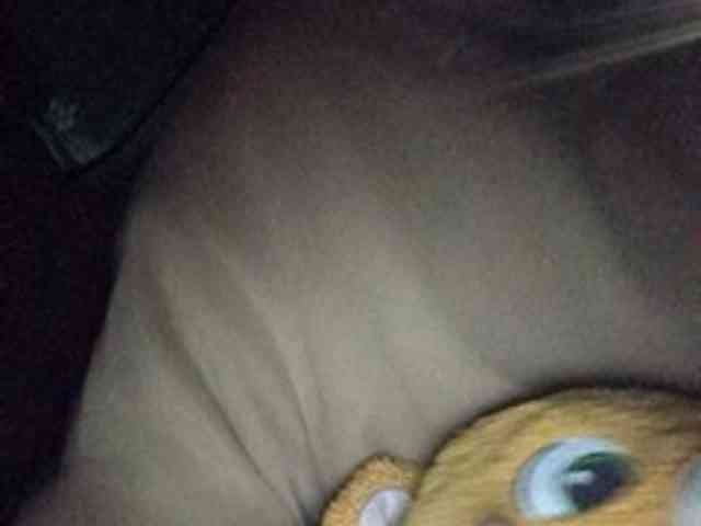 CuddleBear CuddleBear