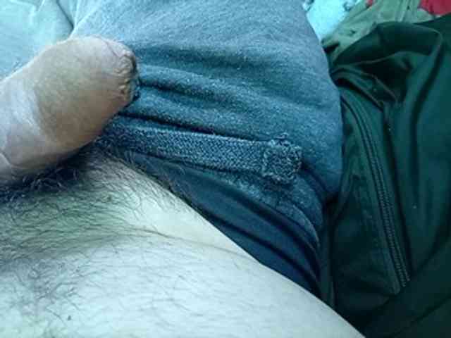 CuddleBear CuddleBear