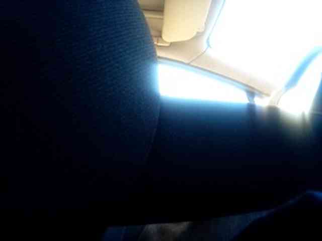 CuddleBear CuddleBear