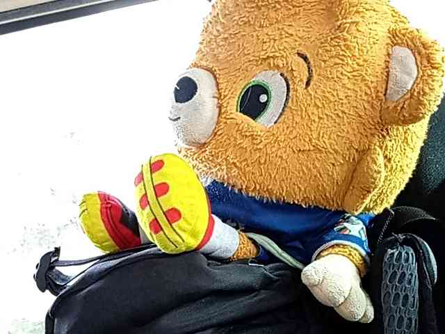 CuddleBear CuddleBear