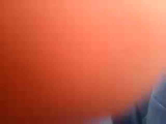 CuddleBear CuddleBear