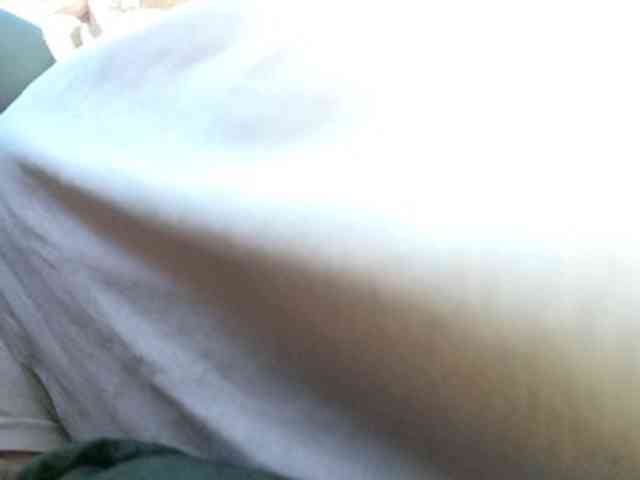 CuddleBear CuddleBear