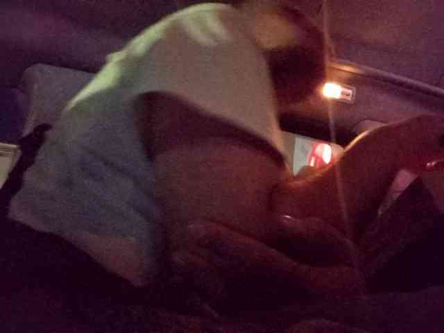 CuddleBear CuddleBear