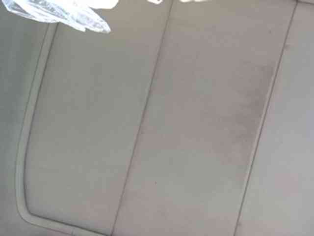 CuddleBear CuddleBear