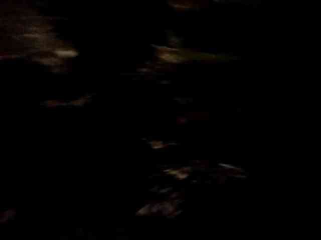 CuddleBear CuddleBear