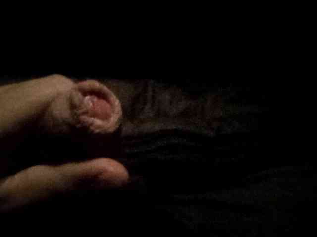 CuddleBear
