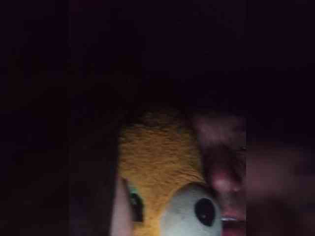 CuddleBear CuddleBear