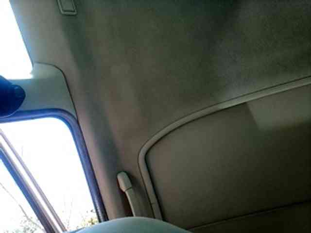 CuddleBear CuddleBear