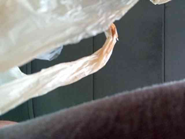 CuddleBear CuddleBear