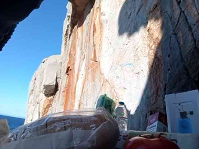 CuddleBear CuddleBear