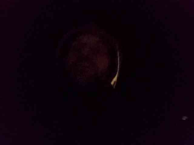 CuddleBear CuddleBear