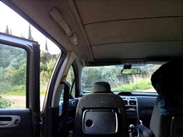 CuddleBear CuddleBear