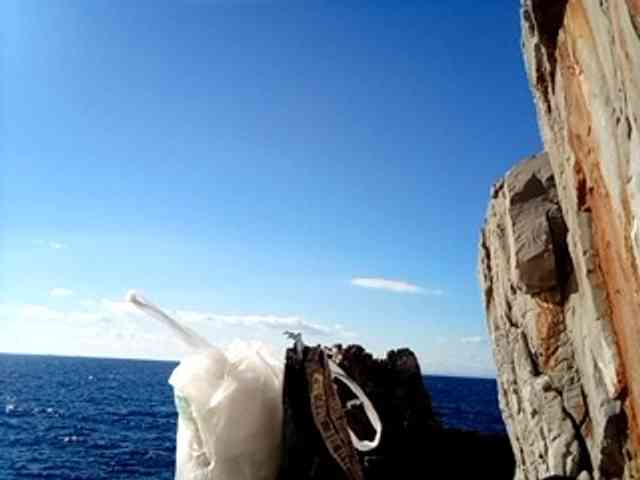 CuddleBear CuddleBear