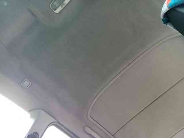 CuddleBear CuddleBear