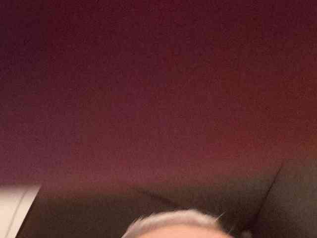 CuddleBear CuddleBear