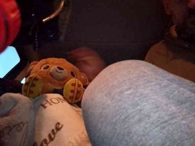 CuddleBear CuddleBear